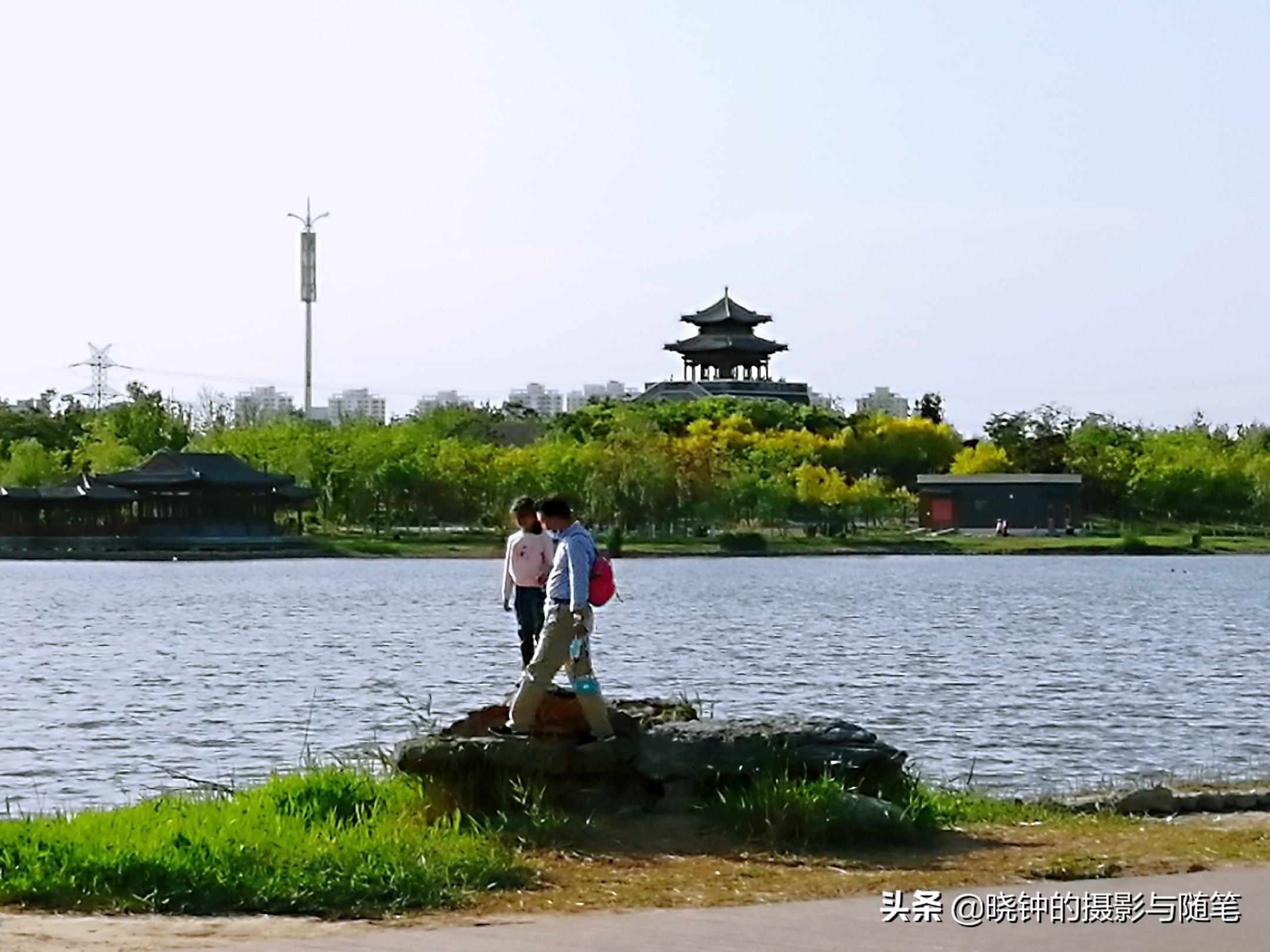 水西庄公园打造城市绿色新名片，最新动态揭秘！