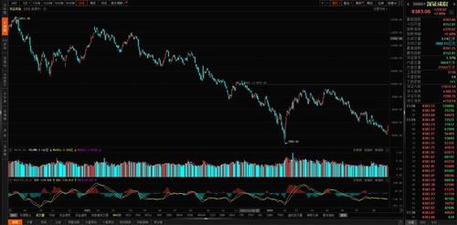 与数字300018的不解之缘，股市小故事与股票行情探索